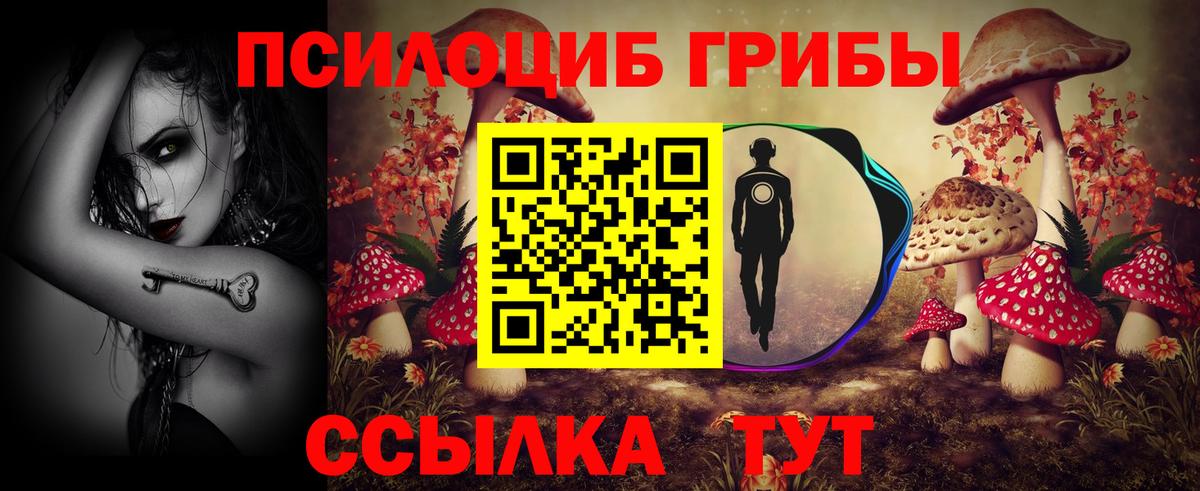 где продают   Галлюциногенные грибы GOLDEN TEACHER  Вход с VPN  Пушкино 