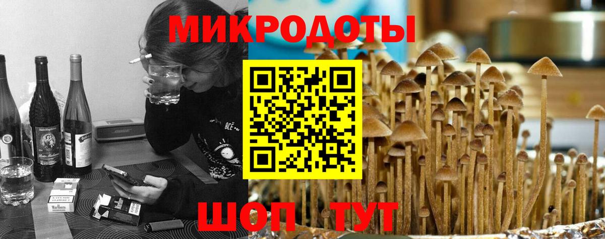 Галлюциногенные грибы Magic Shrooms Пушкино